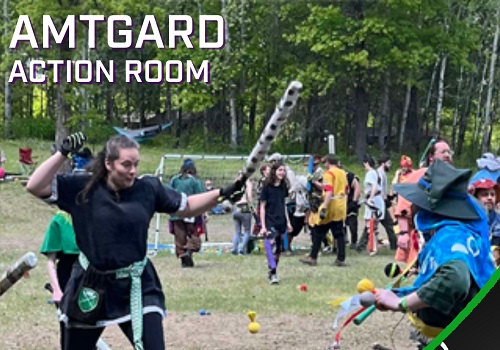 Amtgard Action Room